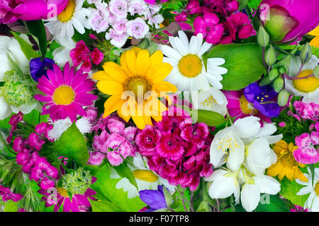 Floral chaos abstract collage from simple June summer flowers background Stock Photo