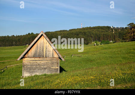Shepard's cabin on green mountain field with conifer trees in background Stock Photo