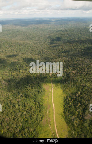 Novo Progresso, Para State, Amazon, Brazil. Aerial view of deep, thick forest with a track, deforested on both sides. Stock Photo