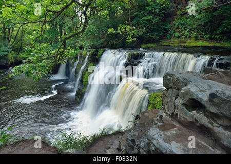 Sgwd y Pannwr, one of the four main waterfalls on the Afon Mellte River, Brecon Beacons, Wales Stock Photo