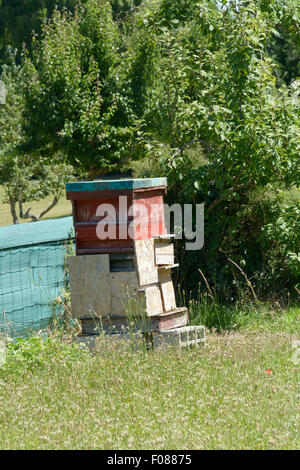 Bee hive in garden in French countryside Stock Photo