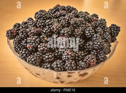 A bowl full of freshly-picked blackberries from the wild Stock Photo