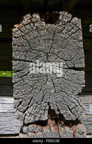 old logs in log barn wall corner, Finland Stock Photo