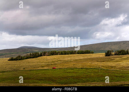 Red van in landscape at Crowlar or Crove near Ardara, County Donegal, Ireland Stock Photo