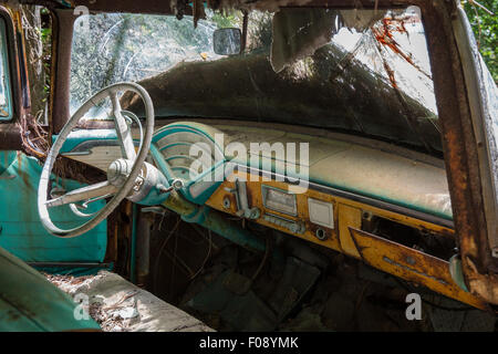 Dashboard of mid-50's pickup truck, found abandoned in Georgia, USA. Stock Photo