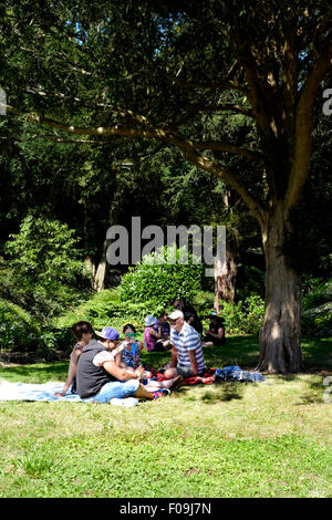 people relax in the shade at the chilli fiesta festival at west dean gardens near chichester west sussex england uk 2015 Stock Photo