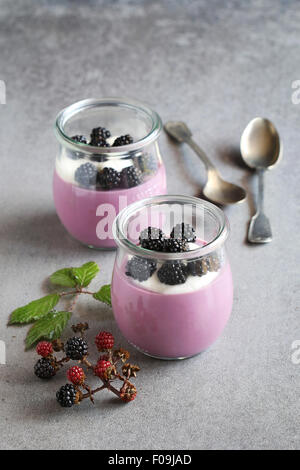 Blackberry panna cotta dessert in jars Stock Photo