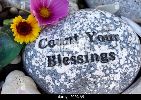 Inspirational quote on garden rock. Stock Photo