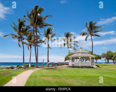 A view of the gazebo, breezy coconut palm trees, and the Pacific Ocean at the Fairmont Orchid on the Kohala Coast, Hawai'i. Stock Photo