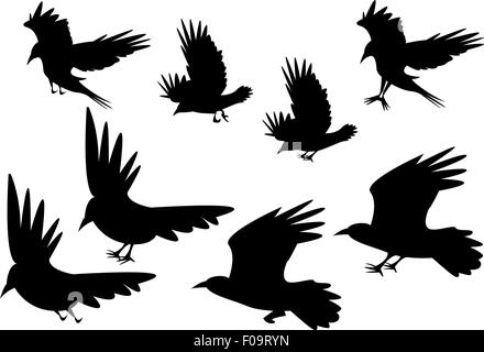 Set of silhouette flying raven bird with leg, vector Stock Vector