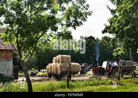View of Village Farm at Warmia-Masuria near Mikolajki in Poland Stock Photo