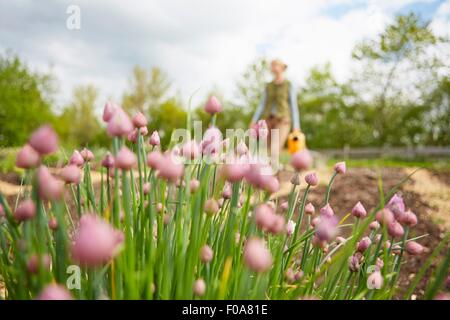 Mature woman, outdoors, gardening, carrying watering can, focus on flowers Stock Photo