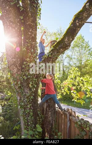 Two young boys climbing tree Stock Photo
