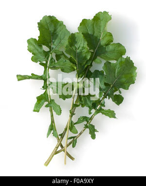 Spice Pages: Rocket (Eruca sativa, Sisymbrium officinale, rucola, arugula)