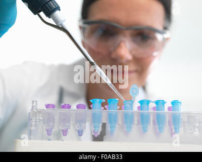 Scientist pipetting DNA sample into vial in lab Stock Photo