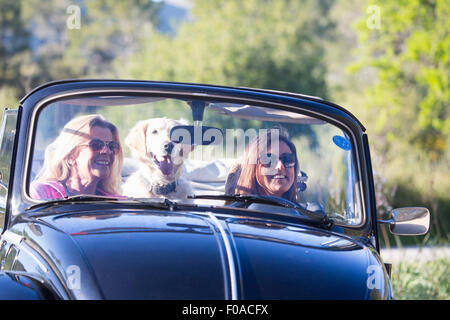 Two mature women, in convertible car, with dog, smiling Stock Photo