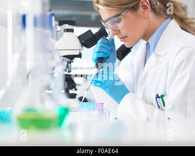 Female scientist pipetting sample into a vial for analytical testing in a laboratory Stock Photo
