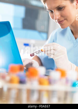 Medical researcher viewing data on a computer for a blood sample during testing Stock Photo