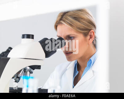 Close up of scientist viewing sample on glass slide through microscope for medical testing Stock Photo