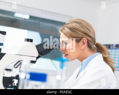 Scientist viewing sample on glass slide through microscope for medical testing Stock Photo