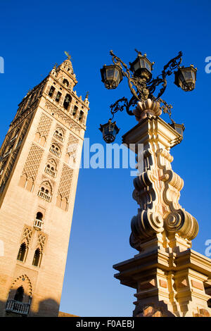 Cathedral,Giralda tower from Plaza Virgen de los Reyes,Sevilla,Andalucía,Spain Stock Photo