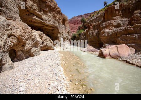 Wadi Zered (Wadi Hassa or Hasa) in western Jordan. A sand stone canyon with fresh running water. Flowing into the Dead Sea Stock Photo