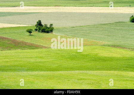 Rolling green hills with trees Photographed in Umbria, Italy Stock Photo