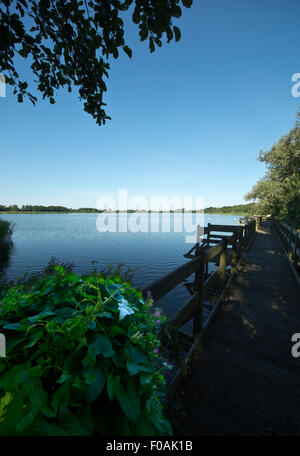 Filby broad and board walk Stock Photo