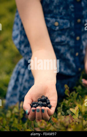 A young daughter spends her afternoon picking bilberries on the Otley Chevin, West Yorkshire Stock Photo