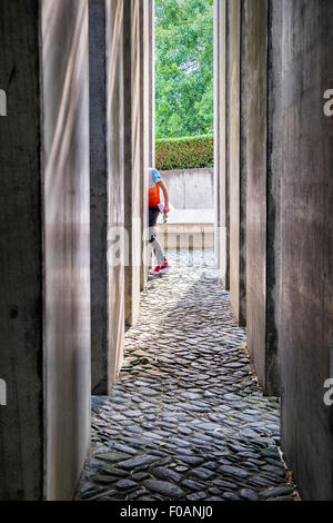 Berlin Jewish Museum Jüdisches Museum New Building - Garden of Exile, 49 Concrete columns on sloping ground contain oleasters Stock Photo