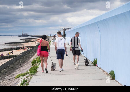 Canvey Island - People walking their dogs along the sea wall at Canvey Island, Essex. Stock Photo