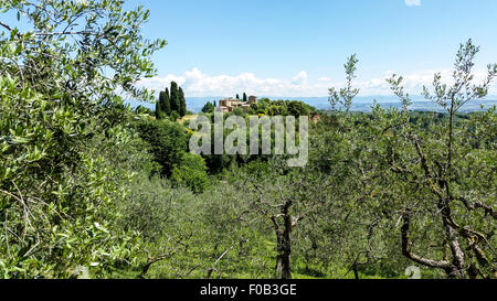 Rolling green hills with trees Photographed in Tuscany, Italy Stock Photo