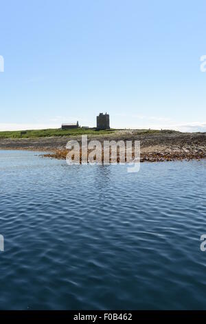 FARNE ISLANDS, NORTH SEA, NORTHUMBERLAND, INNER FARNE, ST CUTHBERTS ISLAND Stock Photo