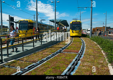 Deansgate-Castlefield tram stop, Manchester, England, UK. Newly rebuilt with tracks landscaped with sedum 'green track' inserts. Stock Photo
