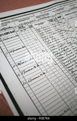 Extract from a page from a census return from 1881, Walthamstow used by genealogist or social historian Stock Photo