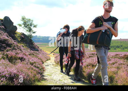 Walkers pass flowering heather on Burbage Edge near Sheffield  in the Peak District National Park, England UK Stock Photo