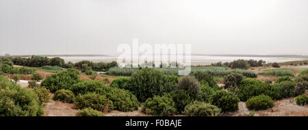 Panoramic view of Salt flats Nature reserve Fuente de piedra, lagoon, Malaga, Spain. Stock Photo