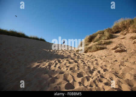 Sand dunes at Camber Sands beach, Camber near Rye, East Sussex, England, UK Stock Photo