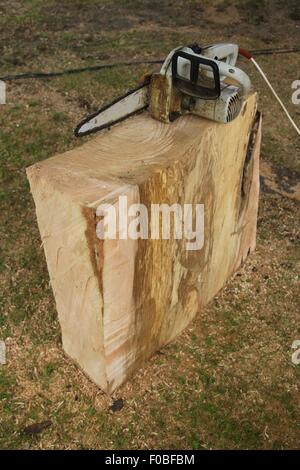 chainsaw and a block of wood from the linden tree Stock Photo