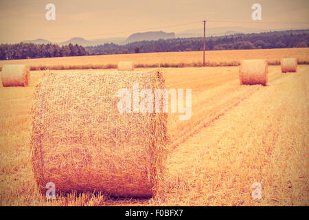 Vintage toned hay bales on harvested field, shallow depth of field. Stock Photo