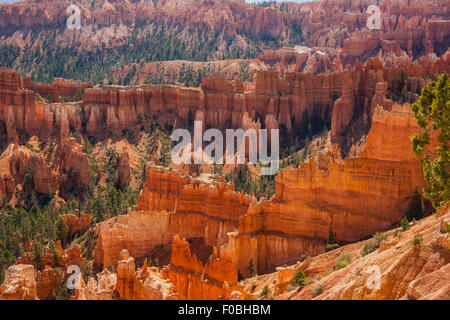 View from Inspiration Point in Bryce Canyon Stock Photo