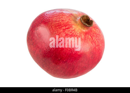 Close-up of a whole ripe pomegranate (Punica granatum), isolated on white background. Stock Photo