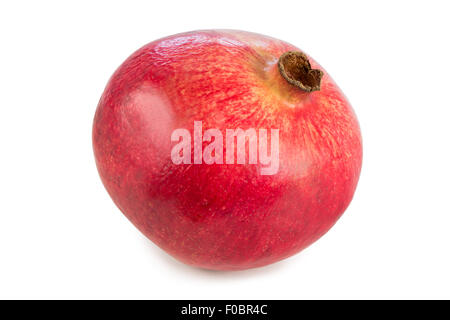 Close-up of a whole ripe pomegranate (Punica granatum) with a shadow, isolated on white background. Stock Photo