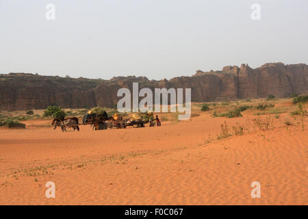 BANDIAGARA, MALI - OCTOBER 2, 2008:  Unidentified group of people with chariot pulled by donkeys in bandiagara in the Mopti regi Stock Photo