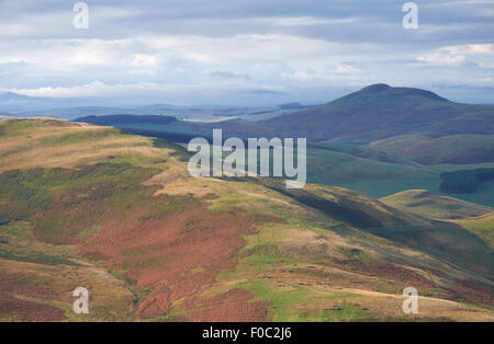 Rolling hills of Northumberland, North East England. UK. Stock Photo