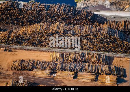 Aerial view of stacks of logged tree trunks in timber yard Stock Photo