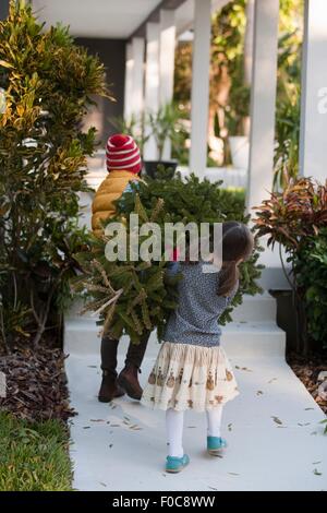 Girl and boy carrying christmas tree Stock Photo