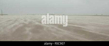 Sandsturm, Strand, Sankt Peter-Ording Stock Photo