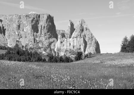 Schlern, Seiser, Alm, Dolomiten, Stock Photo