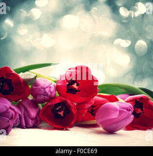 Red and purple tulips over abstract vintage blue light background Stock Photo